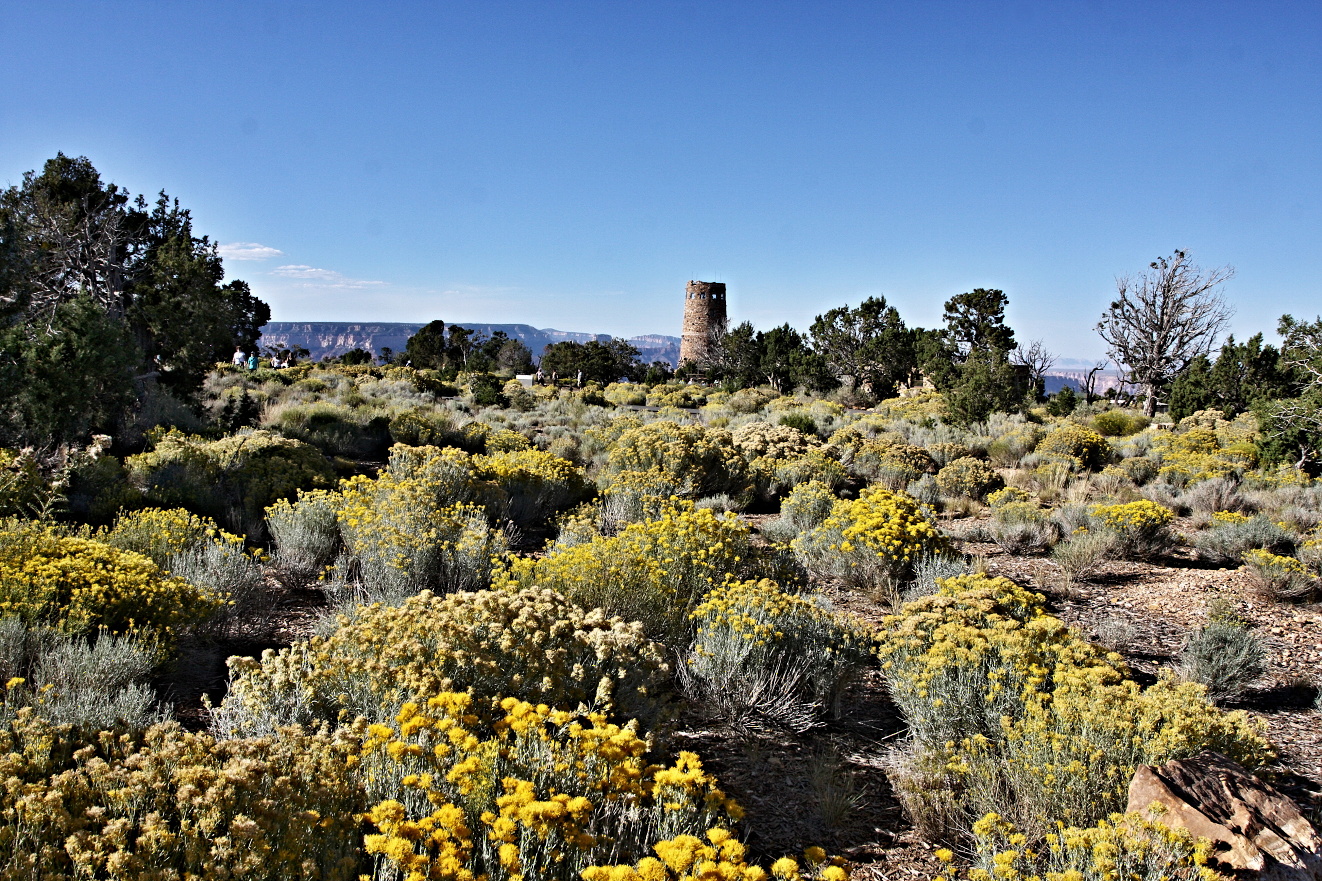 Arizona, Grand Canyon