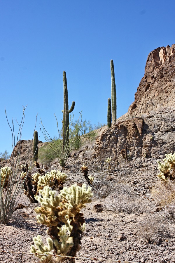 Arizona, sevrozápad. od Tusconu