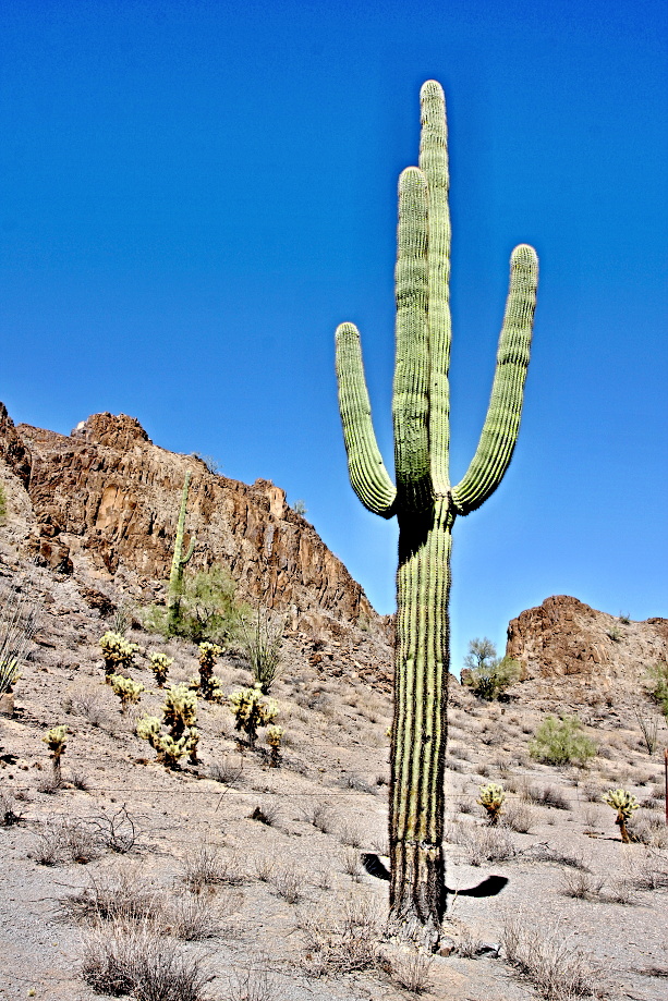 Arizona, sevrozápad. od Tusconu