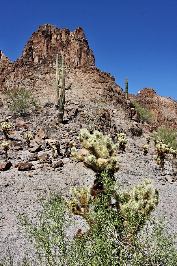 Arizona, sevrozápad. od Tusconu
