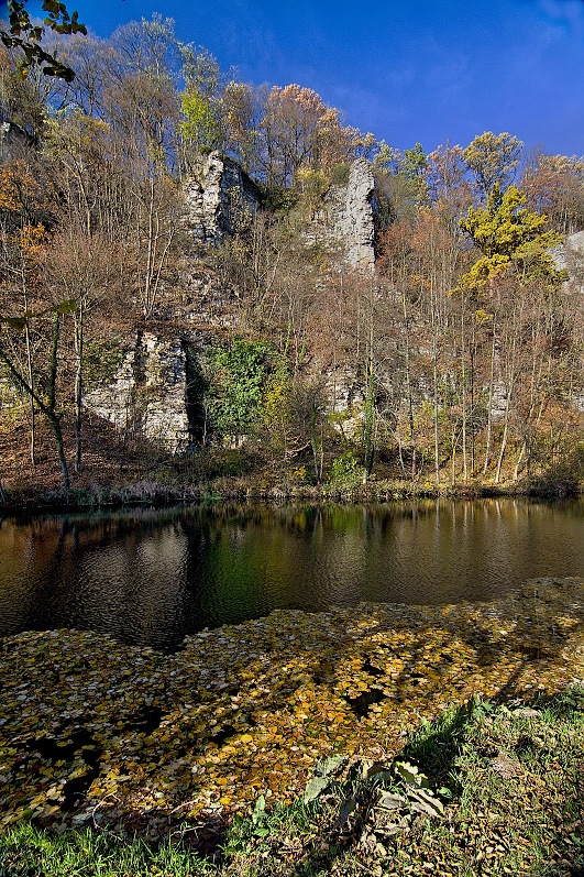 Choceň, Peliny