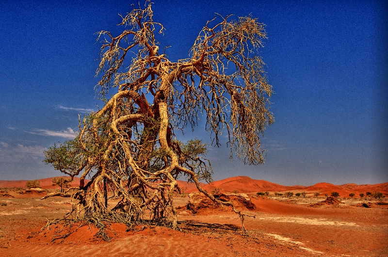 Deadvlei