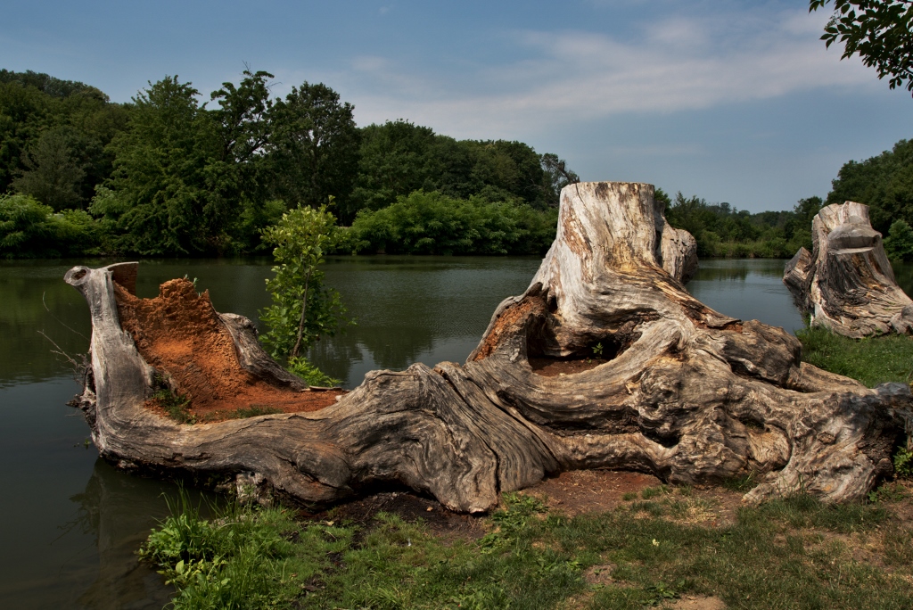 Již.Morava, Lednice, Stará Dyje
