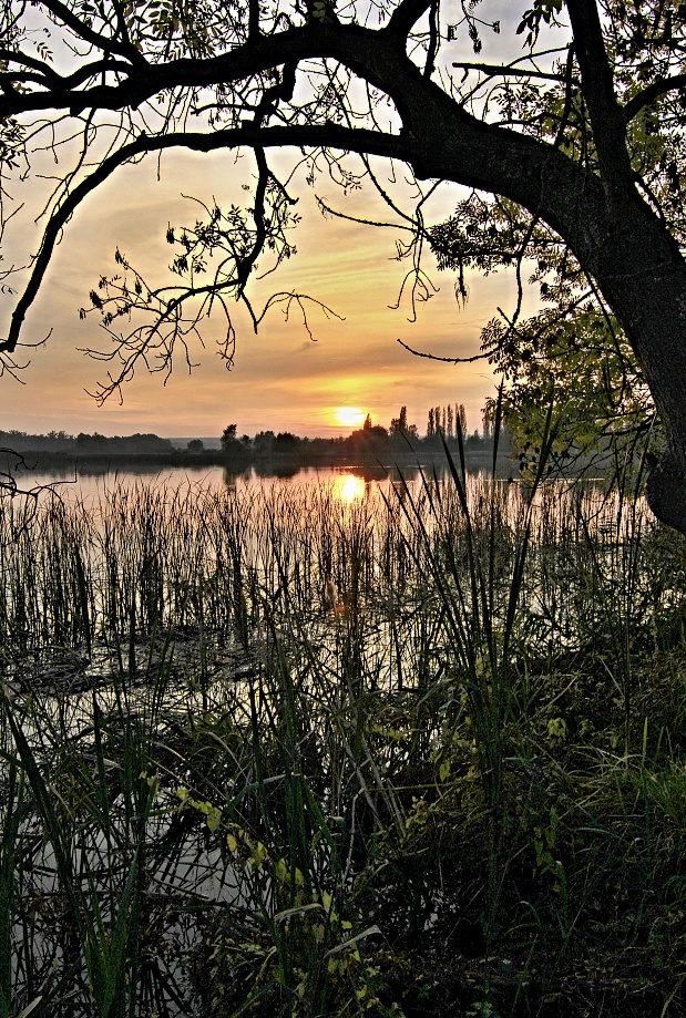 Jižní Čechy, Třeboň,Břilický rybník