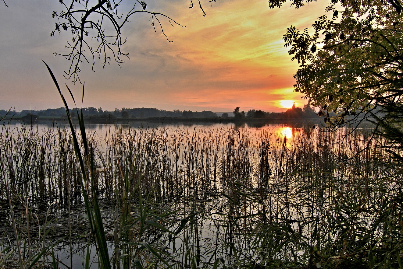 Jižní Čechy, Třeboň,Břilický rybník