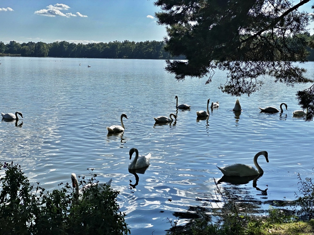 Jižní Čechy - Třeboňsko