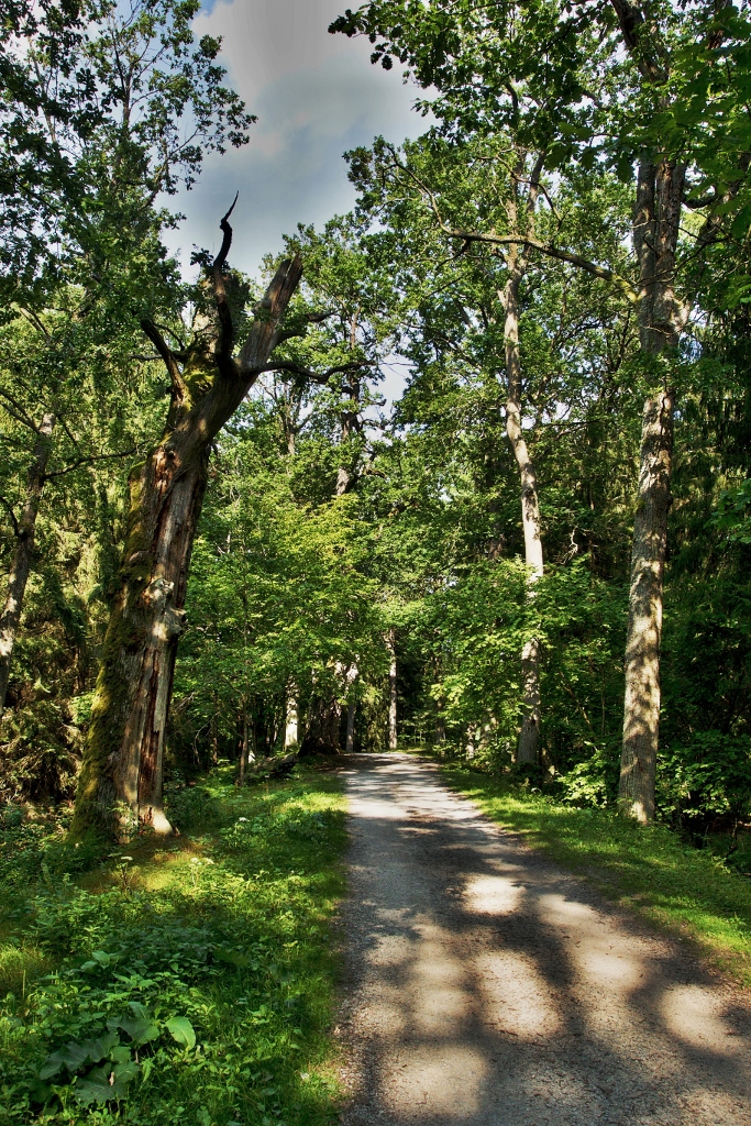 Jižní Čechy , Třebońsko