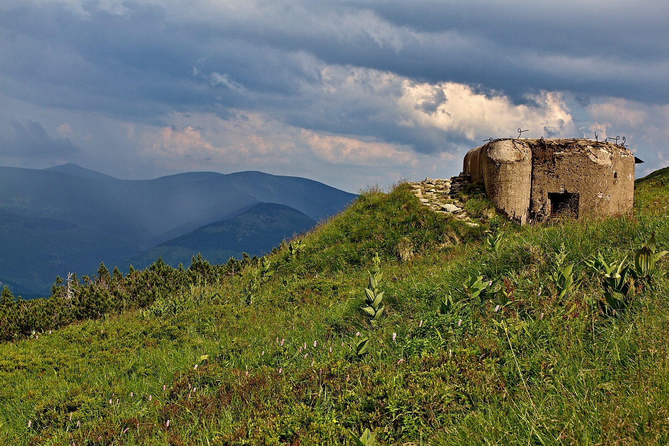 Krkonoše, Labský důl