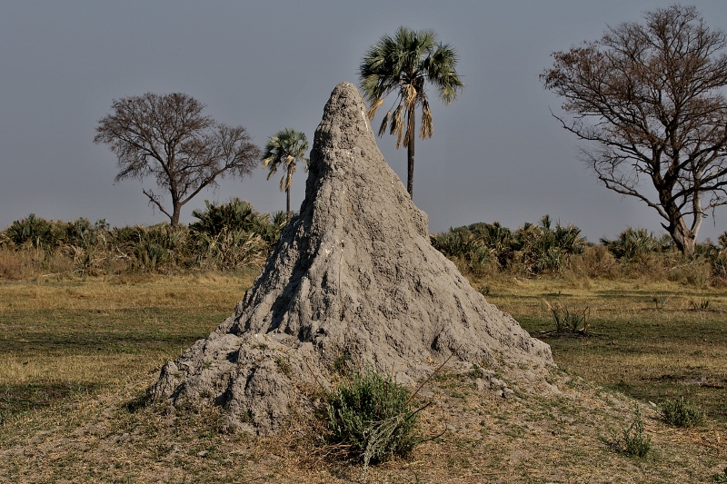 Národní park Chobe