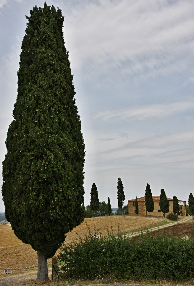 Toskánsko, cesta Montacino - Pienza