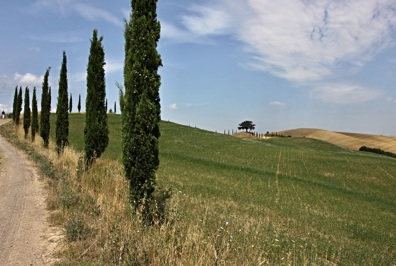 Toskánsko, cesta Siena- Montacino