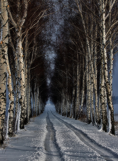 Vých. Ćechy - Sv, Jiří