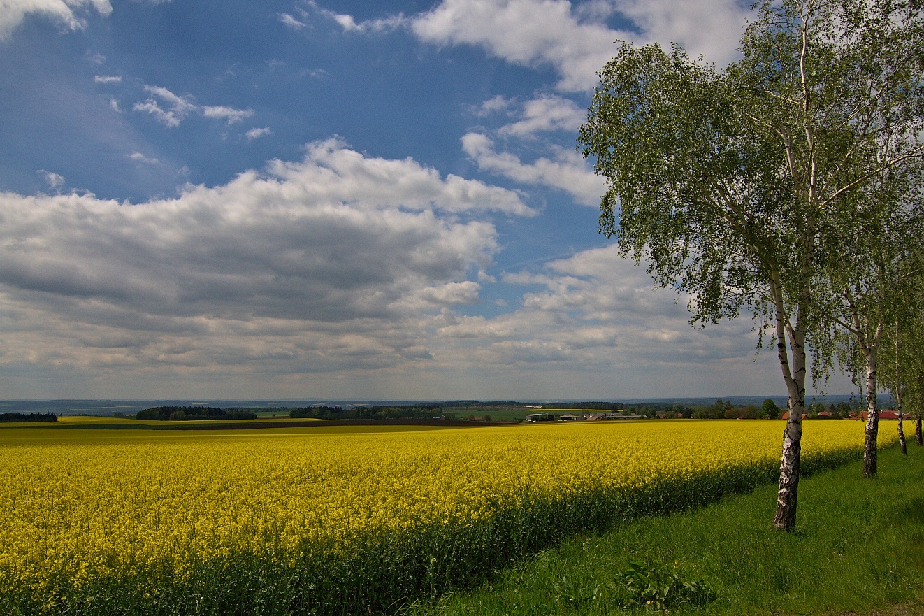 Vých. Ćechy, Ústeckoorlicko