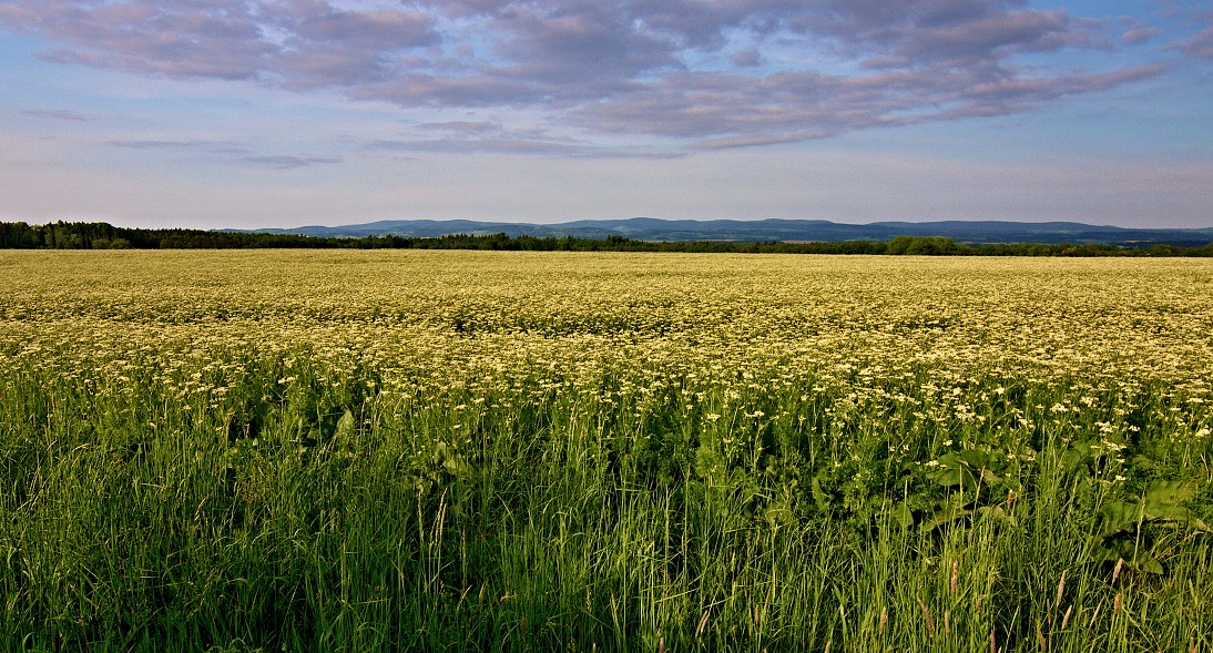 Vých.Čechy,  Černíkovice u Solnice