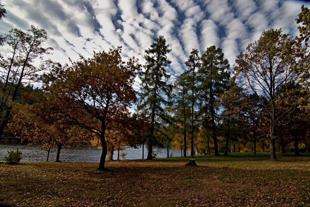 Vých.Čechy - Pastviny