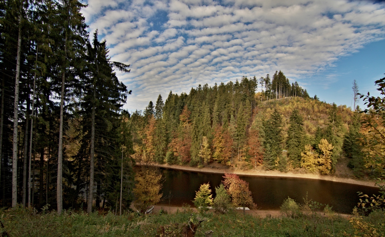 Vých.Čechy - Pastviny