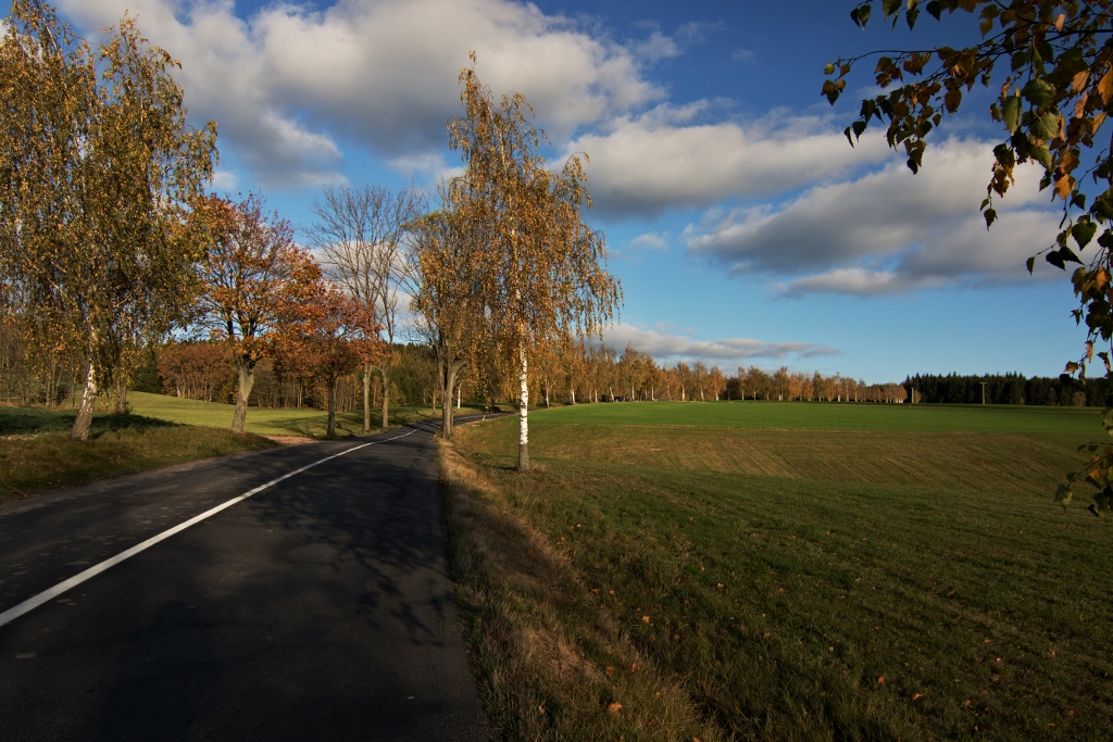 Vých.Čechy - Seč - směr Rozsocha