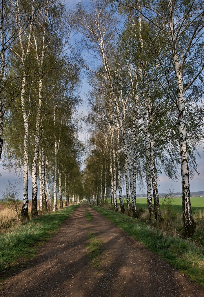 Vých.Čechy, Svatý Jiří - okolí