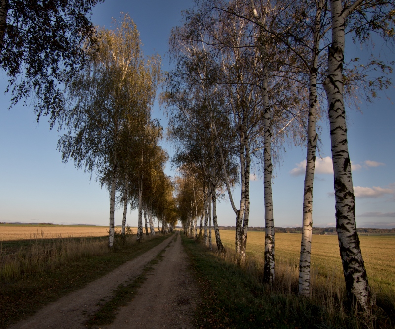 Vých.Čechy - Svatý Jiří - okolí