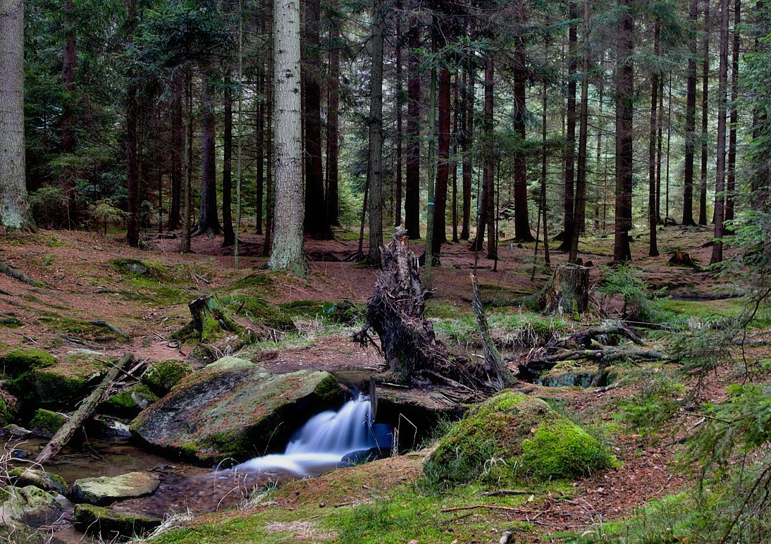 Vých.Čechy, Toulovcovy maštele