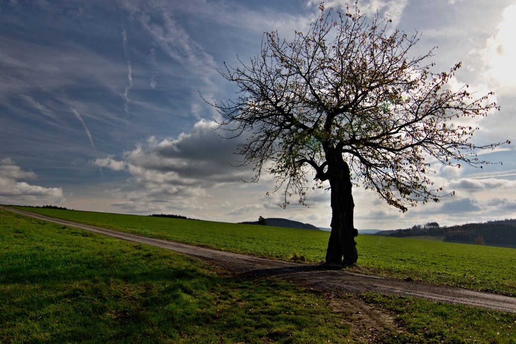 Vých.Čechy - Velká Skrovnice