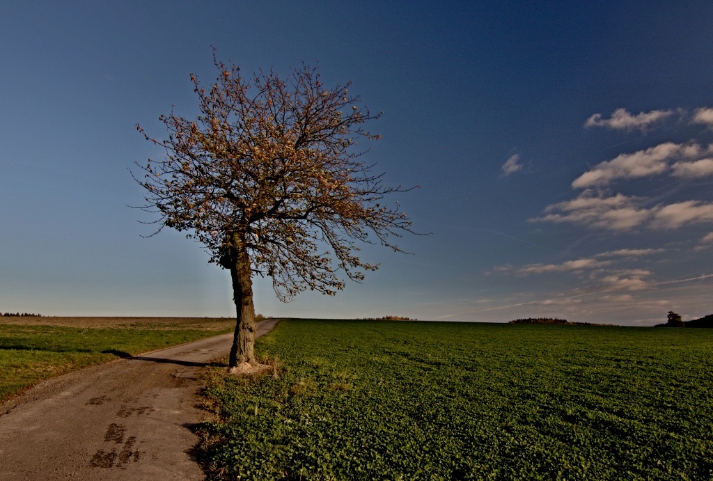 Vých.Čechy - Velká Skrovnice